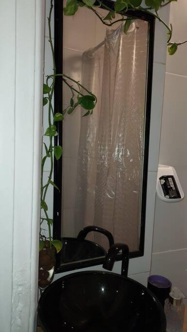 Apartment Atelie Quase Na Lua